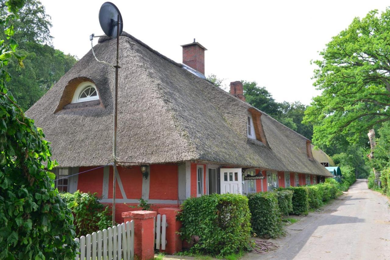 Wohnungen Unter Reet Krems Zwei Экстерьер фото