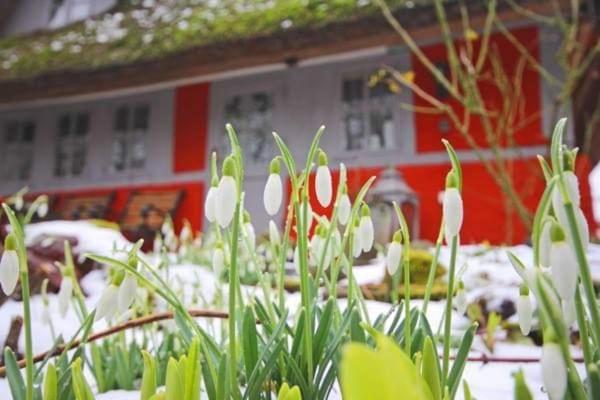Wohnungen Unter Reet Krems Zwei Экстерьер фото